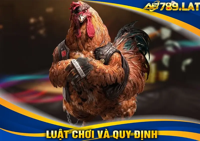 Luật chơi và quy định trong Đá Gà Truyền Thống AE789